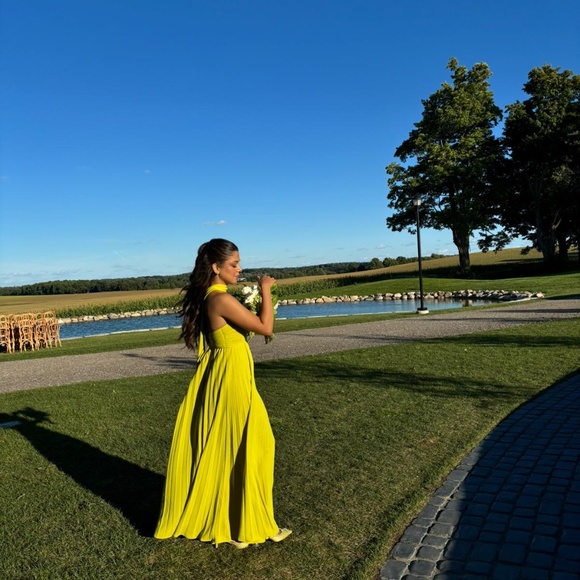 Brand new Delfi Collective Daphne Dress - Picture 2 of 4